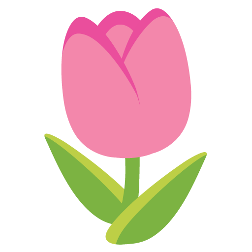 tulipano