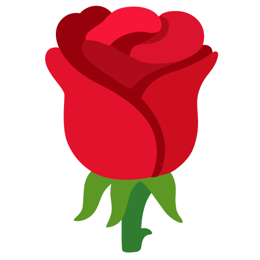 rosa