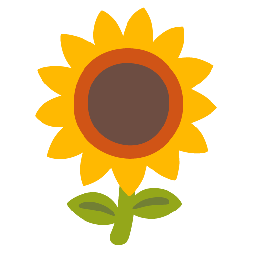 Sonnenblume