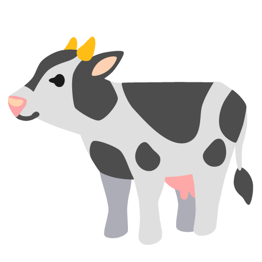 mucca