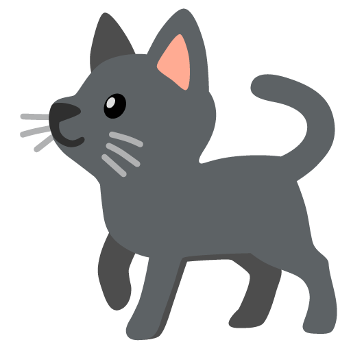 black cat