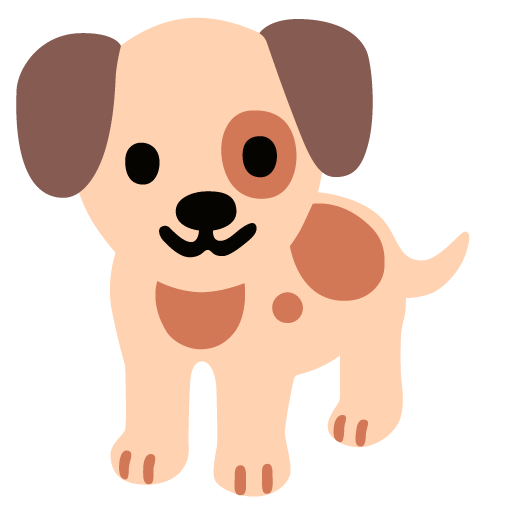 cachorro