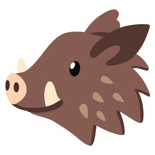 boar