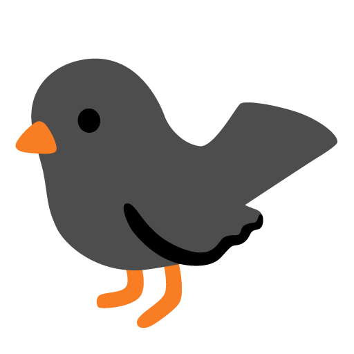 black bird