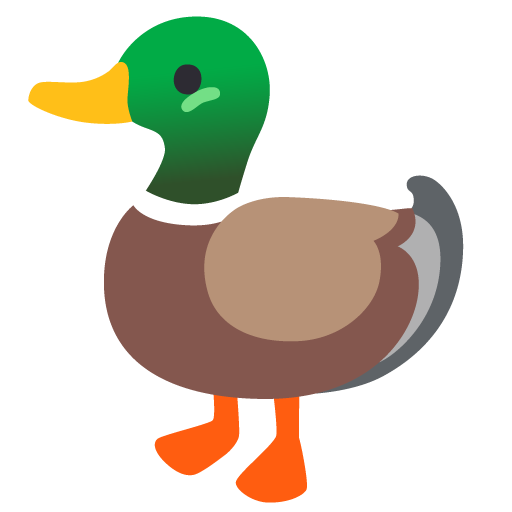 anatra