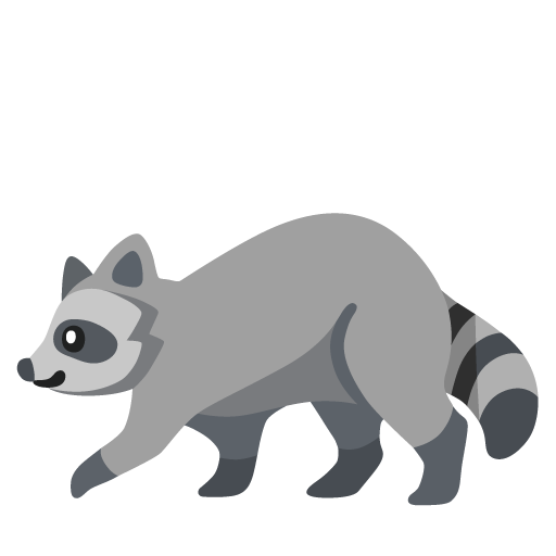 vaskebjørn