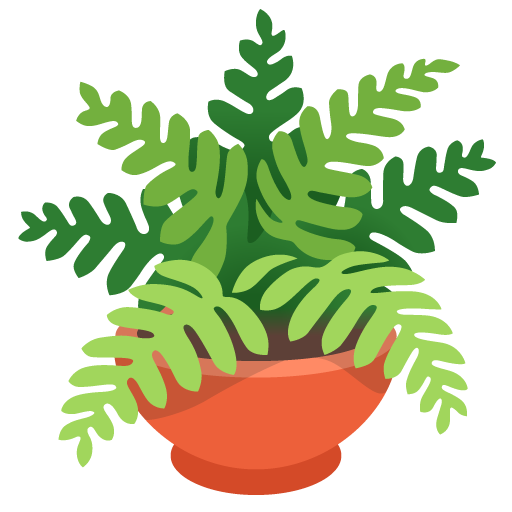 pianta in vaso