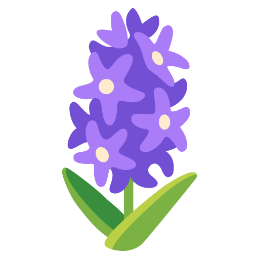 hyacint