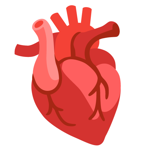 organo del cuore
