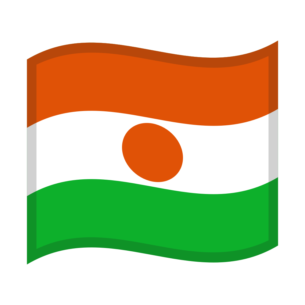 zászló: Niger