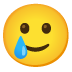 smiling face with tear Noto design